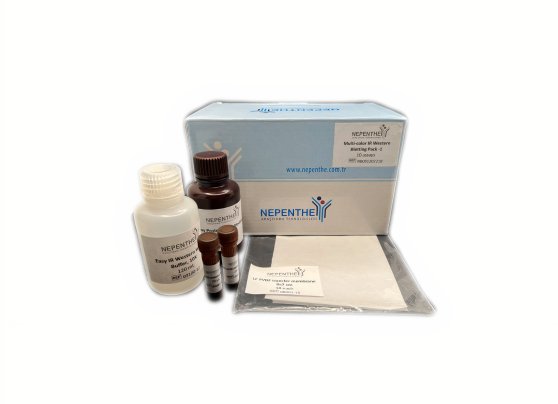 multi-color ir western blotting pack